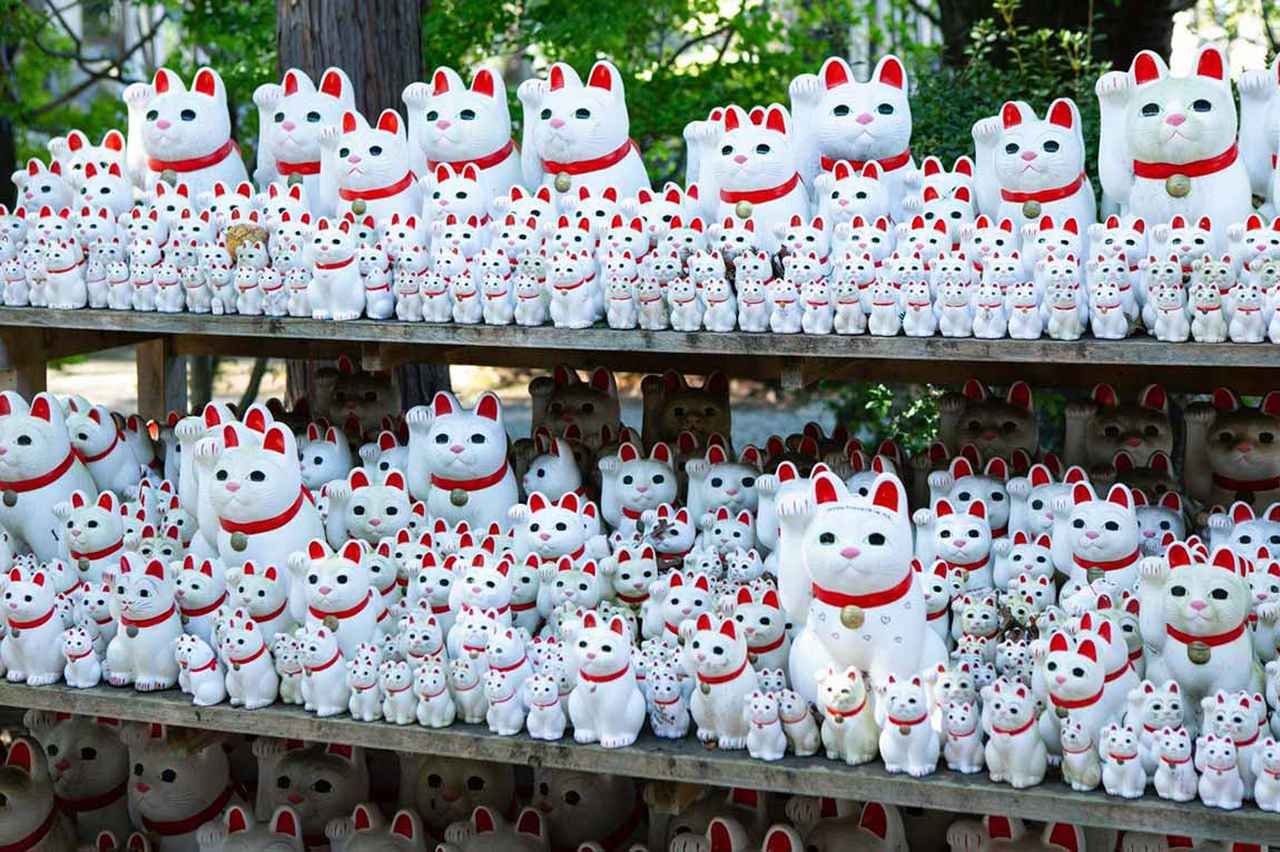 ⛩️ 대계산 호덕사 (다이케이잔 고토쿠지) 이미지 3